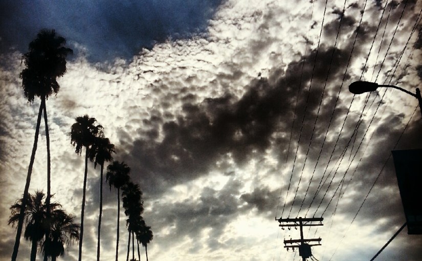 The Whistling Pandemic